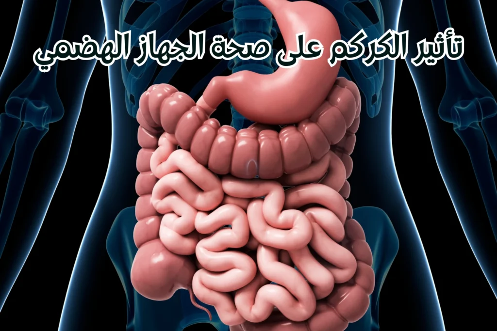 فوائد-الكركم-على-صحة-الجهاز-الهضمي