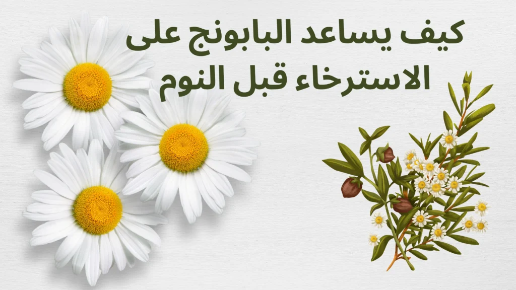 كيف يساعد البابونج على الاسترخاء قبل النوم