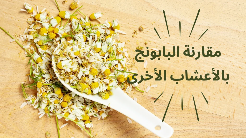 مقارنة البابونج بالأعشاب الأخرى المساعدة على النوم