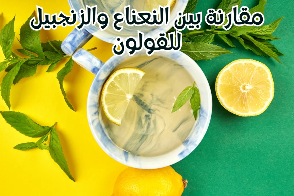 مقارنة-بين-النعناع-والزنجبيل-للقولون