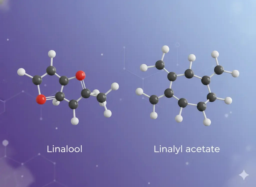 التركيب الكيميائي لـ اللافندر (الخزامي)