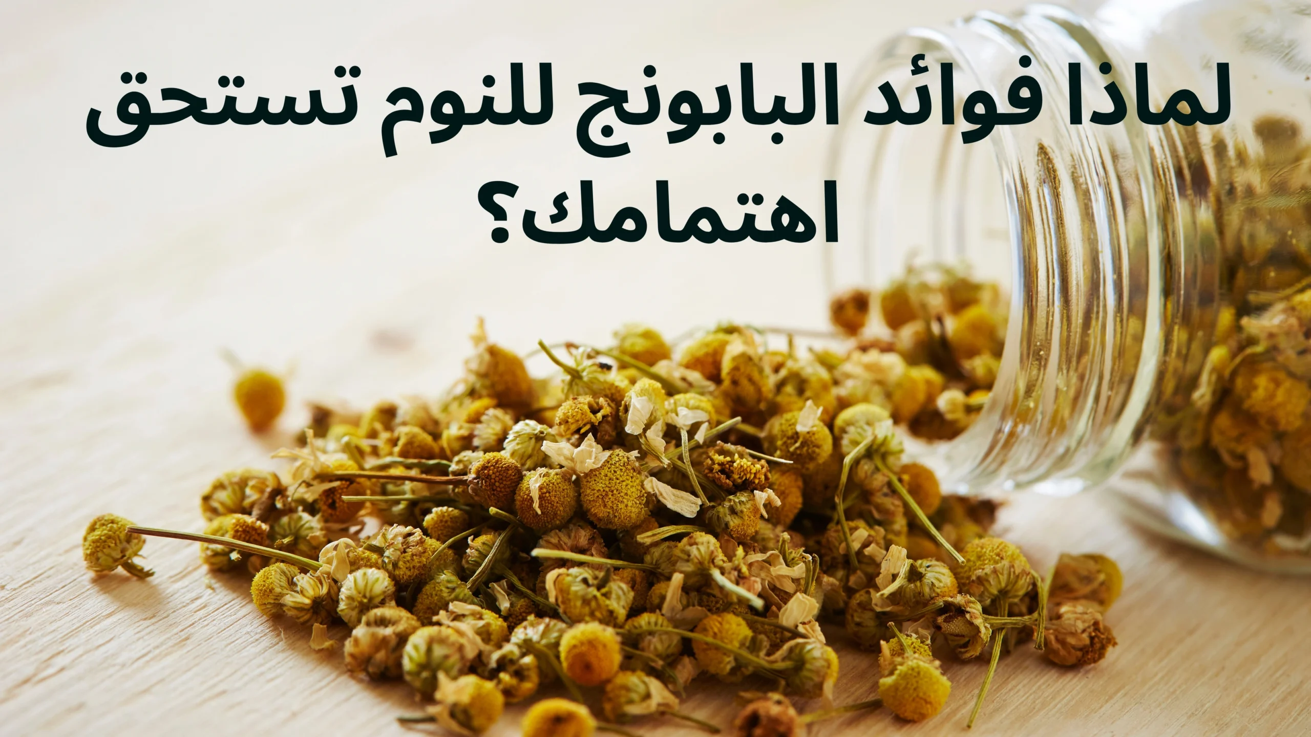فوائد البابونج للنوم كيف يساعدك على الاسترخاء والنوم العميق؟