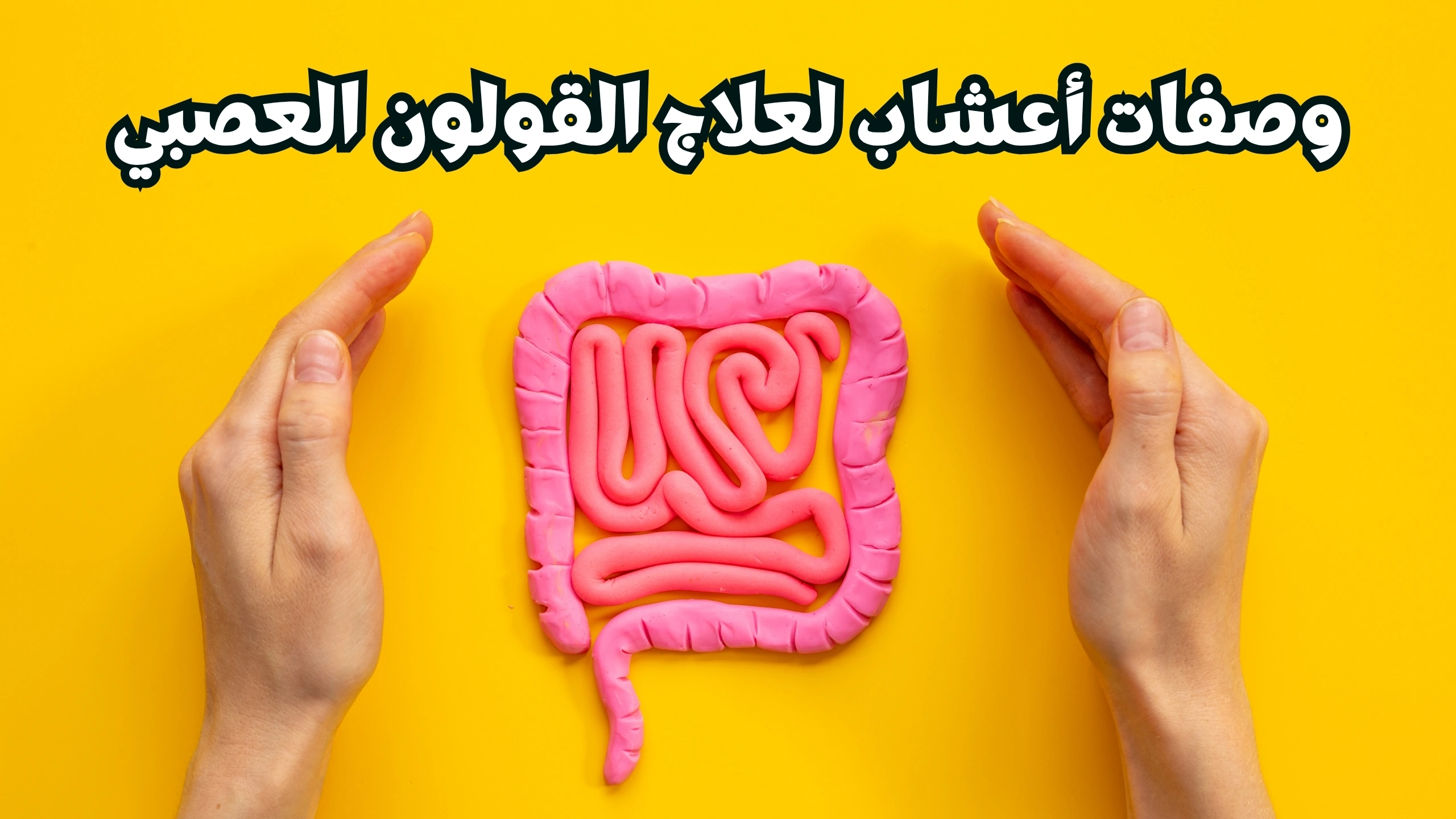 وصفات-أعشاب-للقولون-رقم-#1-لعلاج-القولون-العصبي